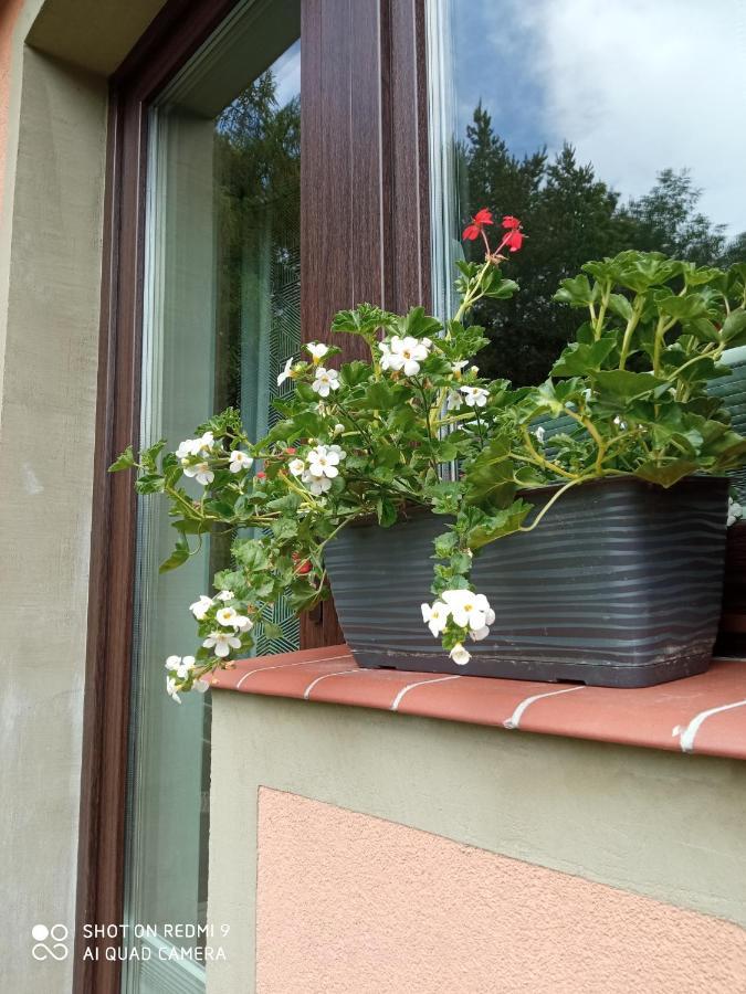 Na Jodlowej Homestay Odargowo